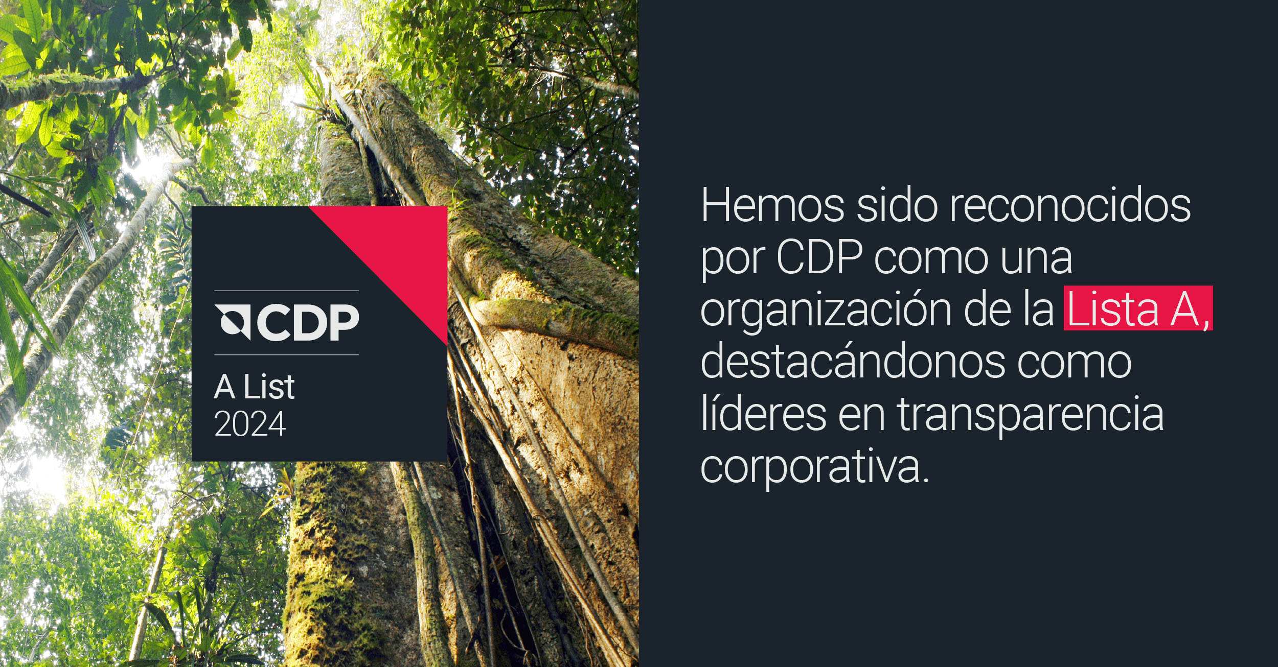 Imagen noticia